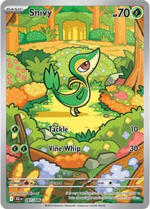 Snivy - 087/086 - SV: Black Bolt NM