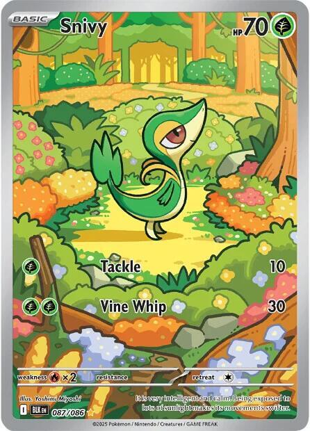 Snivy - 087/086 - SV: Black Bolt NM