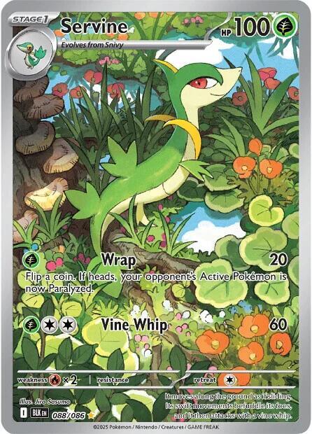 Servine - 088/086 - SV: Black Bolt NM