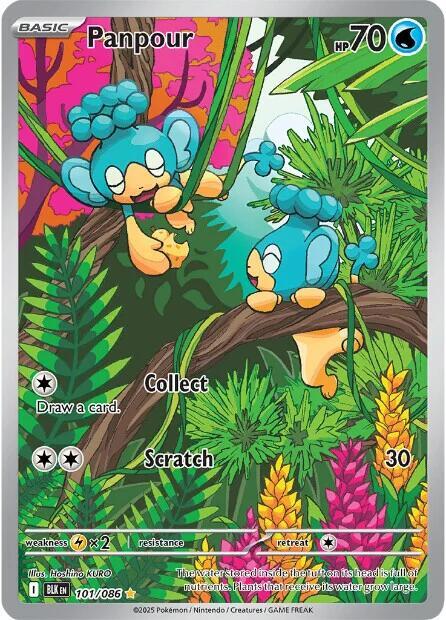 Panpour - 101/086 - SV: Black Bolt NM