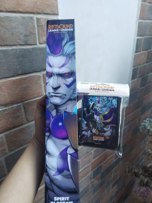 Playmat + Sleeves (Sett)